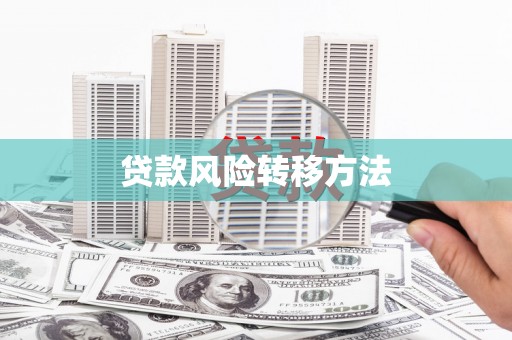 临湘贷款风险转移方法