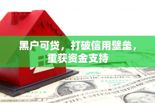 随县黑户可贷，打破信用壁垒，重获资金支持