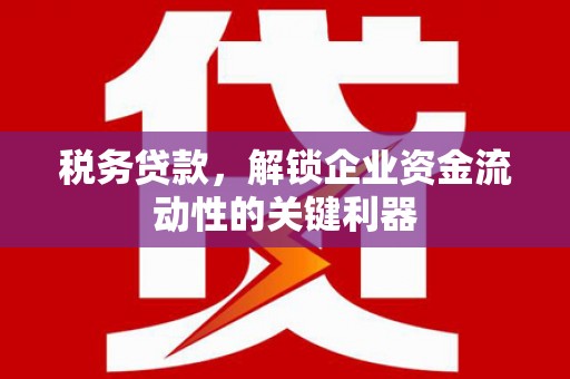皋兰税务贷款，解锁企业资金流动性的关键利器
