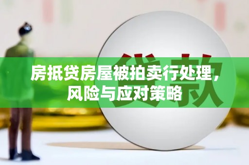宣汉房抵贷房屋被拍卖行处理，风险与应对策略