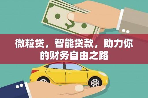 南湖微粒贷，智能贷款，助力你的财务自由之路