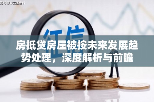 杂多房抵贷房屋被按未来发展趋势处理，深度解析与前瞻