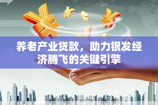 连南养老产业贷款，助力银发经济腾飞的关键引擎