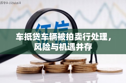 长丰车抵贷车辆被拍卖行处理，风险与机遇并存