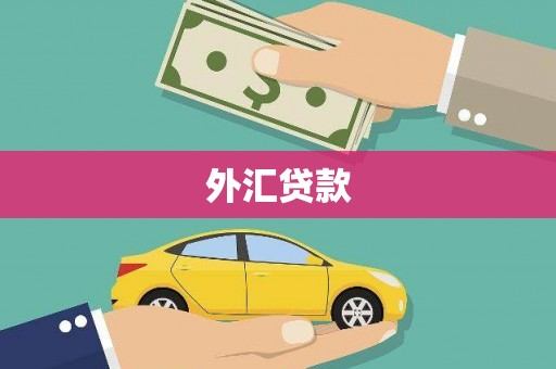 镇原外汇贷款