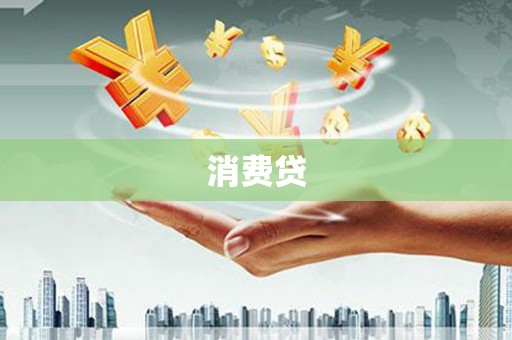 西林消费贷