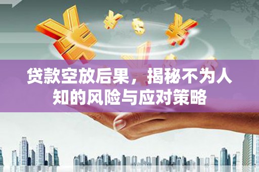 荥经贷款空放后果，揭秘不为人知的风险与应对策略