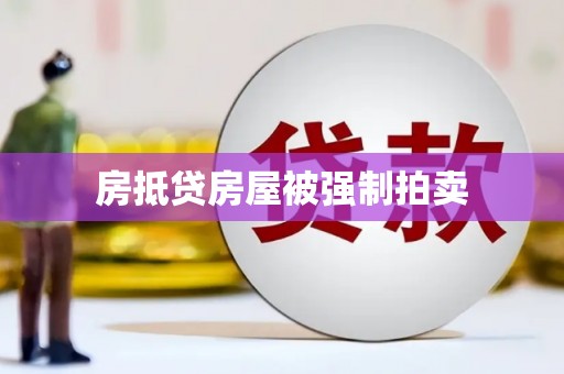 蜀山房抵贷房屋被强制拍卖
