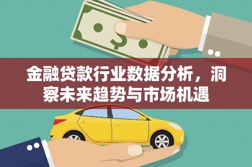 滨城金融贷款行业数据分析，洞察未来趋势与市场机遇
