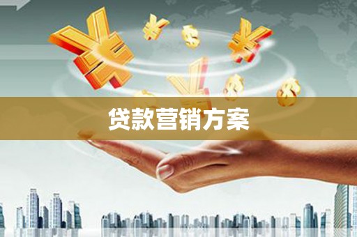 巴马贷款营销方案