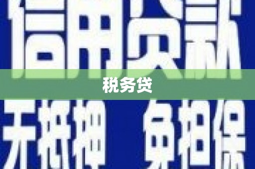 比如税务贷