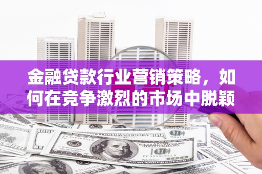 田林金融贷款行业营销策略，如何在竞争激烈的市场中脱颖而出