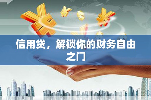 田林信用贷，解锁你的财务自由之门