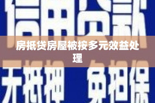 定西房抵贷房屋被按多元效益处理