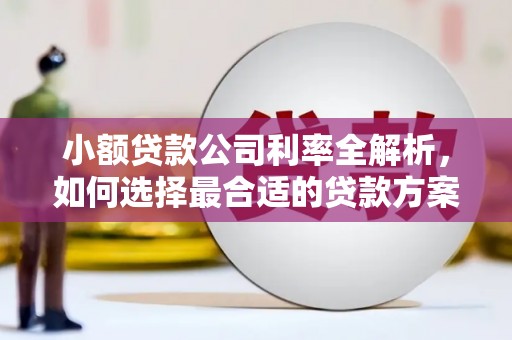 吉阳小额贷款公司利率全解析，如何选择最合适的贷款方案