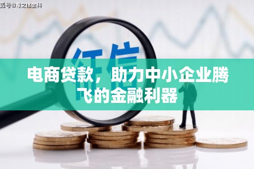 西双版纳电商贷款，助力中小企业腾飞的金融利器