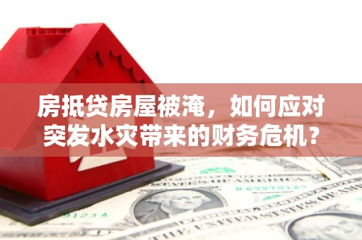 西双版纳房抵贷房屋被淹，如何应对突发水灾带来的财务危机？
