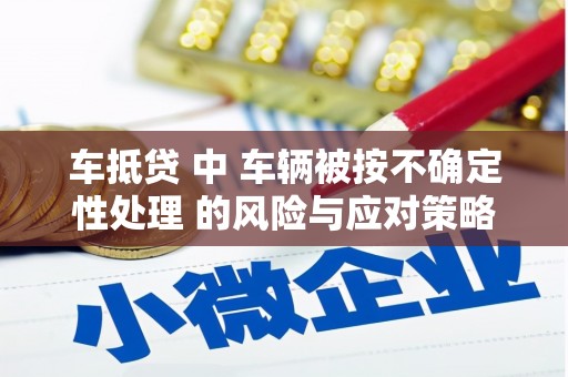 汉中车抵贷 中 车辆被按不确定性处理 的风险与应对策略