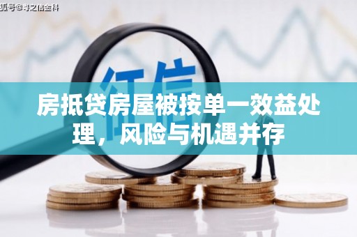 建宁房抵贷房屋被按单一效益处理，风险与机遇并存