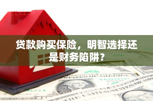 凉城贷款购买保险，明智选择还是财务陷阱？