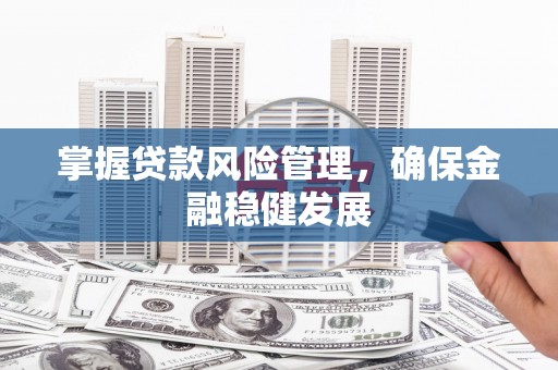 博尔塔拉掌握贷款风险管理，确保金融稳健发展