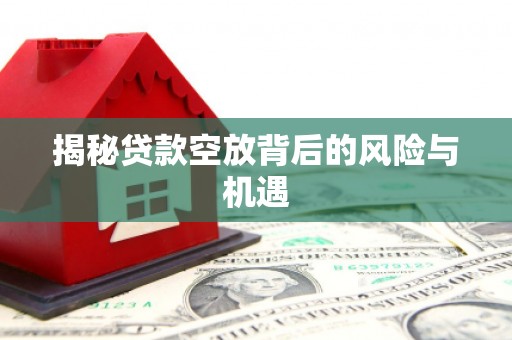 桃山揭秘贷款空放背后的风险与机遇