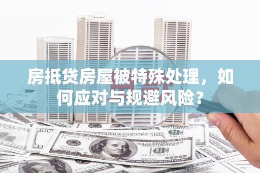 麻栗坡房抵贷房屋被特殊处理，如何应对与规避风险？