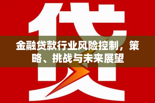 仁爱金融贷款行业风险控制，策略、挑战与未来展望