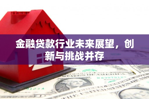 金水金融贷款行业未来展望，创新与挑战并存