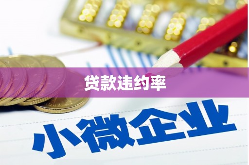 尼木贷款违约率