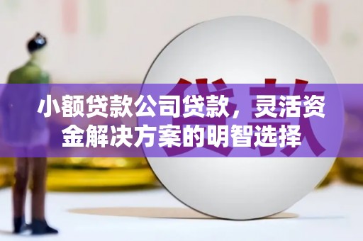 上思小额贷款公司贷款，灵活资金解决方案的明智选择