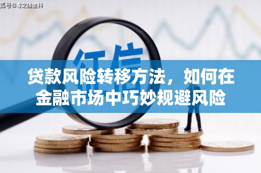 武夷山贷款风险转移方法，如何在金融市场中巧妙规避风险