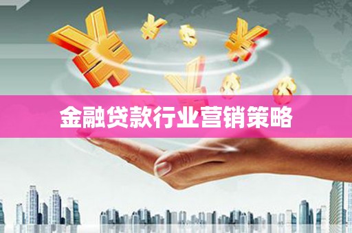 嘉模堂区金融贷款行业营销策略
