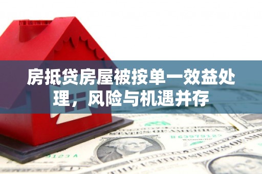 肥城房抵贷房屋被按单一效益处理，风险与机遇并存