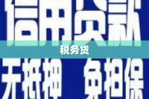 梅州税务贷