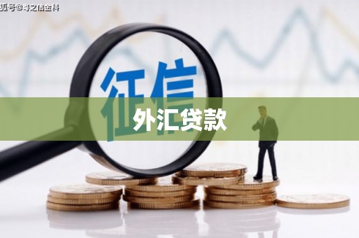 梅州外汇贷款