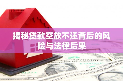 赫山揭秘贷款空放不还背后的风险与法律后果
