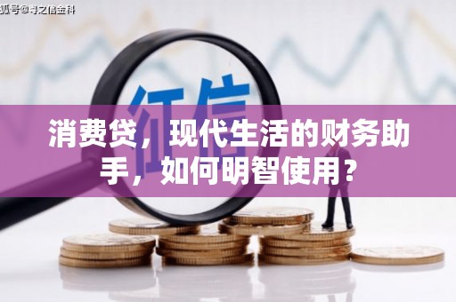 天峻消费贷，现代生活的财务助手，如何明智使用？