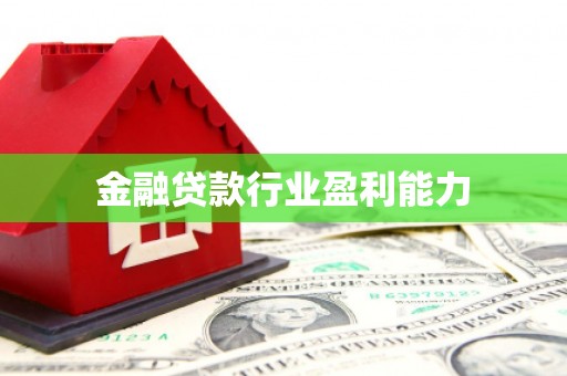 无棣金融贷款行业盈利能力