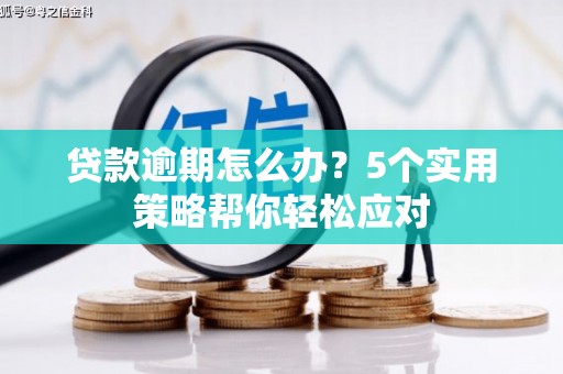 镇巴贷款逾期怎么办？5个实用策略帮你轻松应对