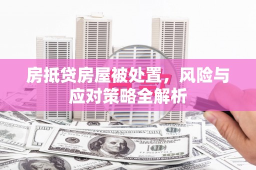 二林房抵贷房屋被处置，风险与应对策略全解析