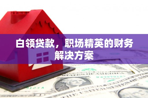 宕昌白领贷款，职场精英的财务解决方案