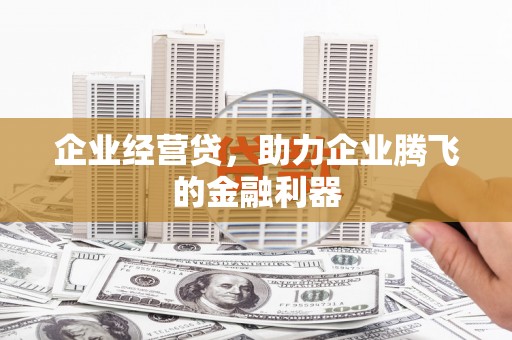 陇川企业经营贷，助力企业腾飞的金融利器