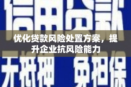 汤阴优化贷款风险处置方案，提升企业抗风险能力