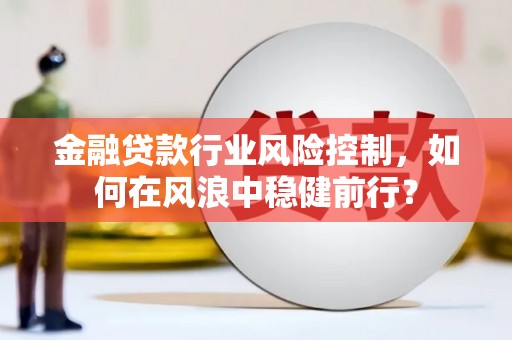 西昌金融贷款行业风险控制，如何在风浪中稳健前行？