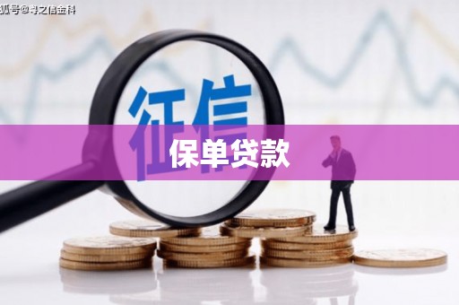 新建保单贷款