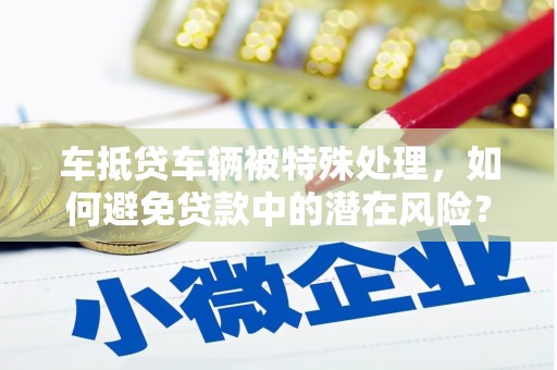 舟曲车抵贷车辆被特殊处理，如何避免贷款中的潜在风险？