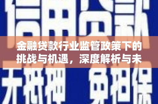 利津金融贷款行业监管政策下的挑战与机遇，深度解析与未来展望