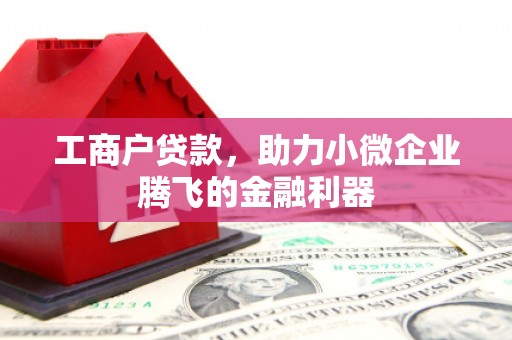 岭东工商户贷款，助力小微企业腾飞的金融利器
