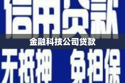 武江金融科技公司贷款